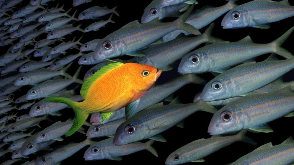 Comment perturber votre industrie