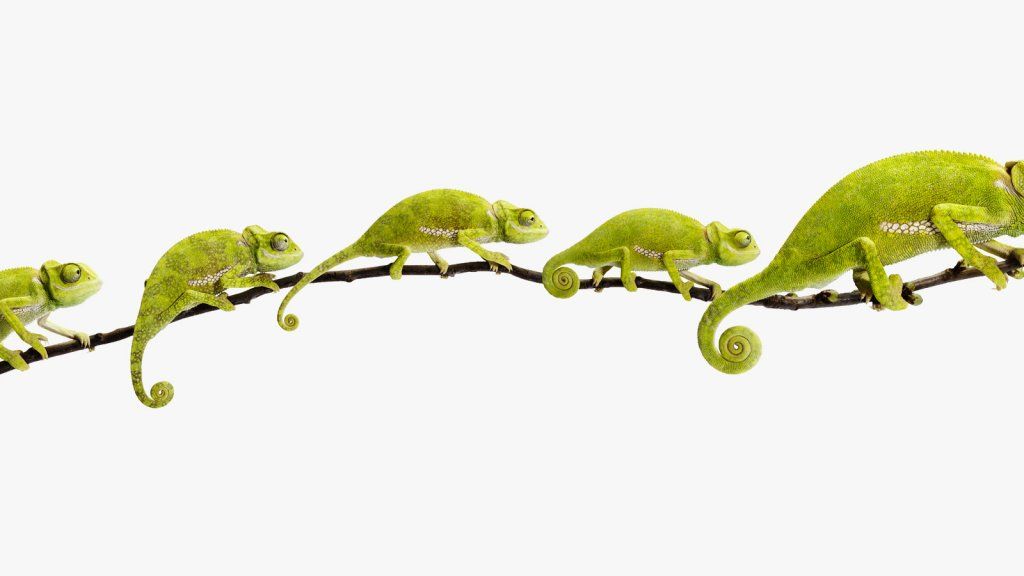 Juhtimine: 7 viisi heast suureks saamiseks