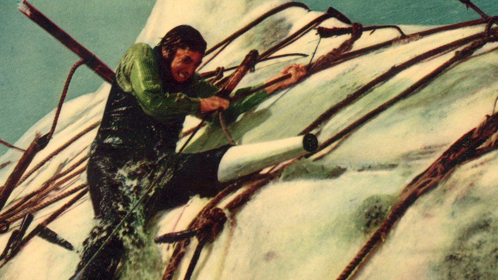 Je eigen privé-walvis: leiderschapslessen van Moby Dick